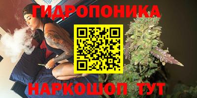 крисы Кандалакша